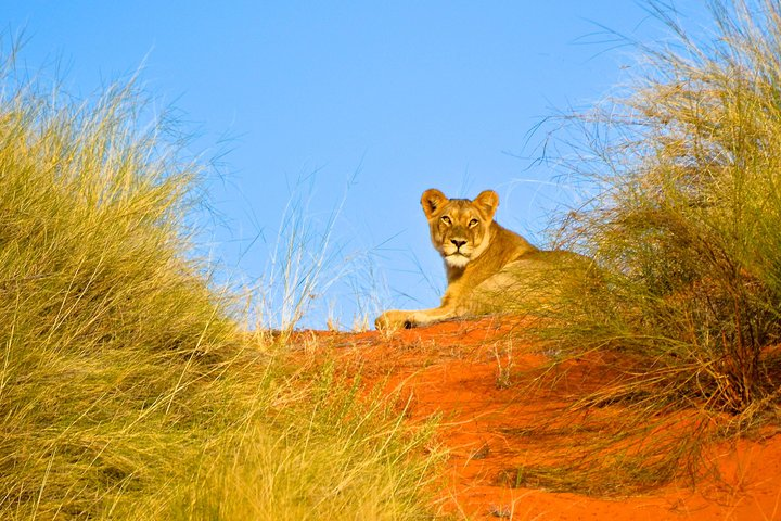 Hluhluwe Imfolozi Game Reserve